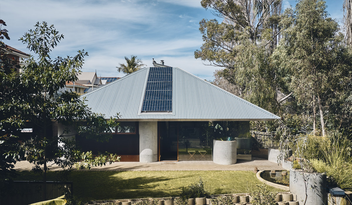 Aerial View with Duck